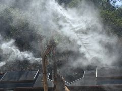 -野象谷景区