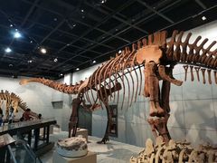 -浙江自然博物院(杭州馆)