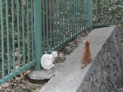 -深圳国际园林花卉博览园