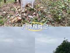 -四明湖