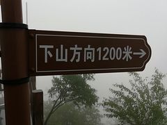 -大岭沟猕猴桃谷风景区