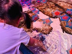 -沈阳海洋探索中心