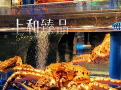 -上和臻品中国菜(花园街店)