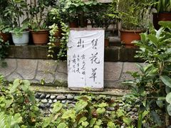 -海窝子古镇