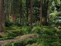 -成都市活水公园