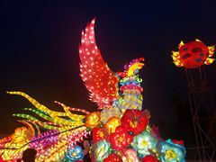 -武汉园博园(武汉自然博物馆)