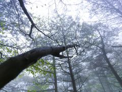 -沂蒙山旅游区云蒙景区(蒙山国家森林公园)