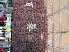 -百万葵园