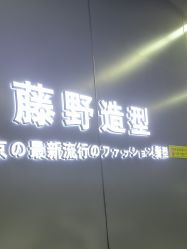 点击看大图 -藤野造型