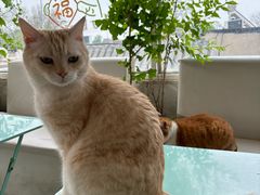 -小时光咖啡馆(北锣鼓巷店)