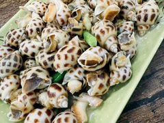 -贞姨美食·老字号海鲜大排档