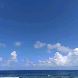 -薇兰专业脱毛连锁机构