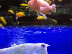 -多彩贵州城极地海洋世界