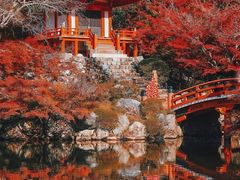 -醍醐寺