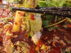 -胖大姐黄辣丁鱼庄(新津店)