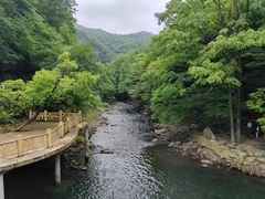 -关门山森林公园
