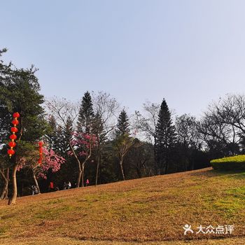 新年聚会不一定是吃吃吃，不妨可以想约亲友到白云山行运