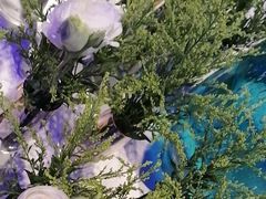 -逸馥荟(人广来福士店)