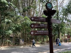 -大屏嶂森林公园