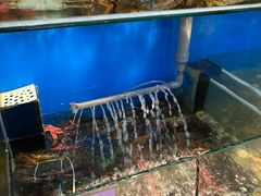 -明记烧鱼美味店