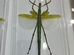 -上海昆虫博物馆