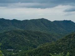-中国茶叶博物馆(双峰馆区)