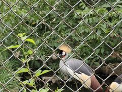 -石家庄市动物园