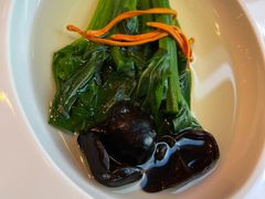 泉水木耳浸有机菜心-广州文华东方酒店·江-由辉师傅主理