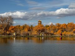 -金塔沙漠胡杨林景区