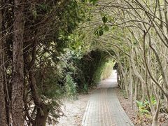 -华东政法大学(松江校区)