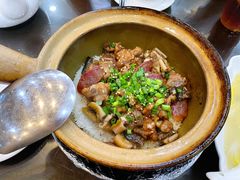 -红星光发煲仔饭(文海店)