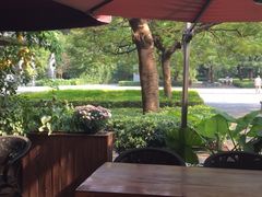-缘生态云南菜·野生菌庭院餐厅(华侨城店)