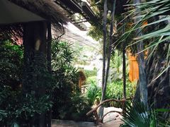环境-江天生态园餐厅