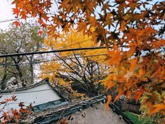 -北山街历史文化街区