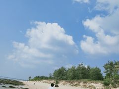 -东郊椰林