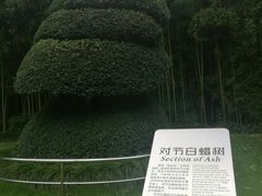 -苏州河梦清园环保主题公园