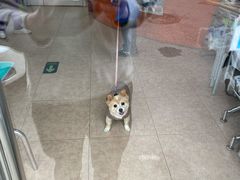 -北京博爱动物医院有限公司