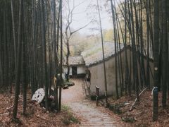 -会稽山峡洞漂流-上青古道