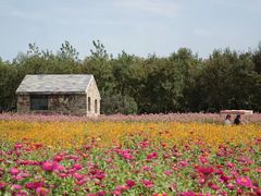 -江苏三台山国家森林公园