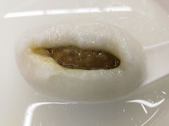 鲜肉汤圆-朱新年·苏式汤团·面点(北寺塔店)