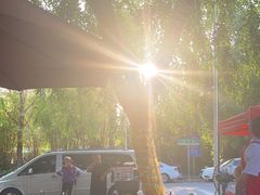 -范饭椰林川湘味海鲜·椰子鸡(三亚湾椰梦长廊店)