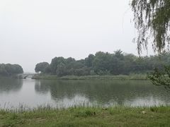 -大兴滨河森林公园