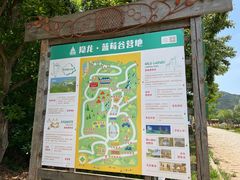 -金石滩蓝莓谷庄园