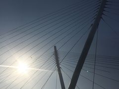 -映月湖中央公园