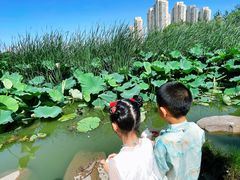 -前关湿地公园
