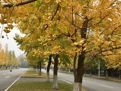 -西南交通大学(九里校区)