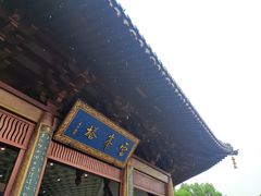 -西湖游船