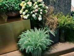 -大树餐厅(红旗街万达店)