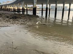 -厦门北海湾惠龙万达嘉华酒店
