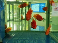 -常熟玉蕙口腔医院